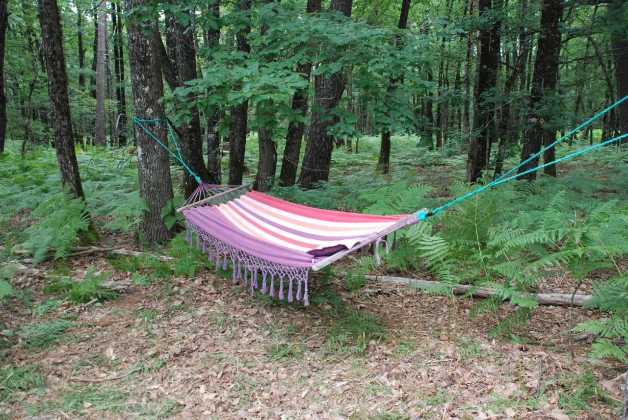 Camping Bois De St Hilaire Chalandray Εξωτερικό φωτογραφία