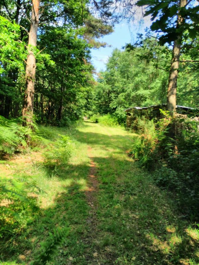 Camping Bois De St Hilaire Chalandray Εξωτερικό φωτογραφία